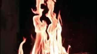 Collectif Medz Bazar - Dolama (2015)