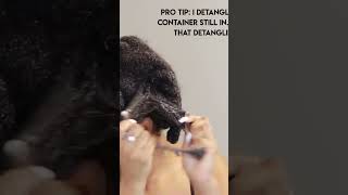 Detangling 4c natural hair after deep conditioning.