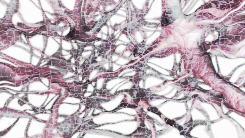 INVECCHIAMENTO DELLA PELLE