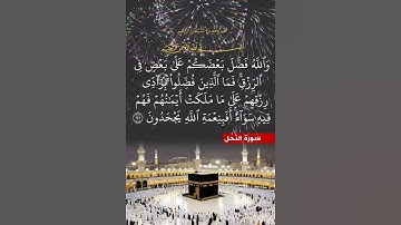 سورة النحل الآية ( 71 )