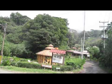 Costa Rica: Santa Elena, Monteverde - International Living