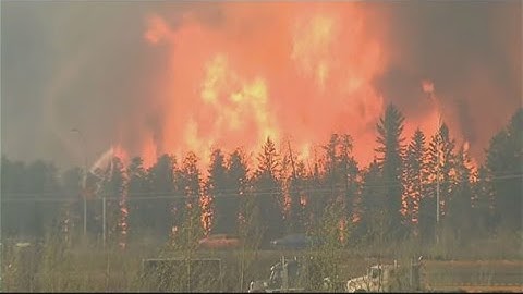 New evidence shows human activity causes increase in extreme weather