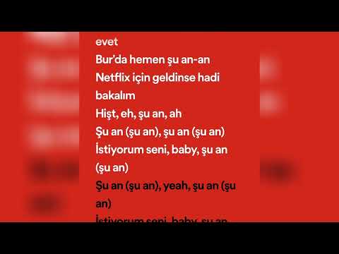 ALIZADE - ŞU AN (speed up + lyrics)