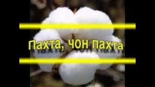 Пахта, чон пахта.wmv