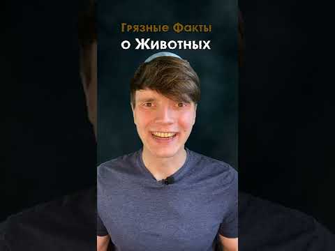 Сделав это, мышь умирает счастливой...