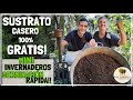 Sustrato Casero 100% Gratis! Excelente! y Mini Invernaderos para Germinación Rápida y Abundante!