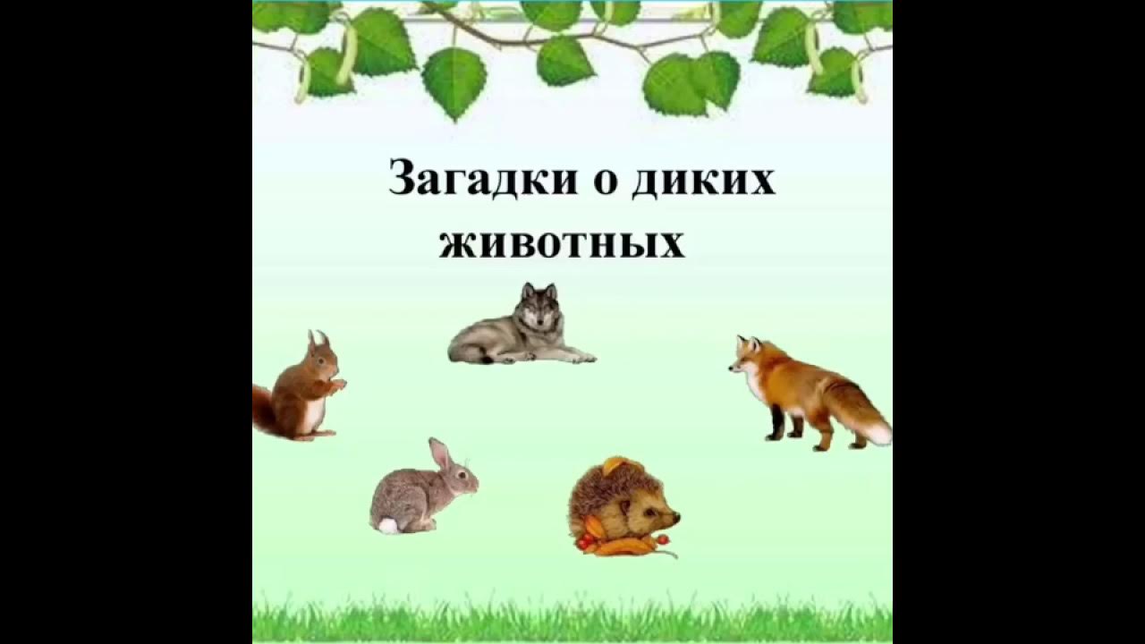 Про диких и домашних. Загадки про диких животных. Загадки про диких животных для детей. О диких животных для дошкольников. Загадки о диких животных для малышей.