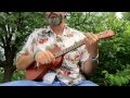 Look What They've Done To My Song (Ukulele Cover)