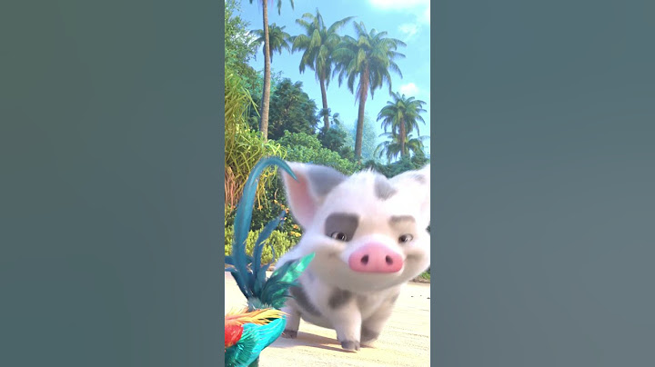 Oceania 2 | Chi li ha lasciati senza supervisione? 🐷🐔