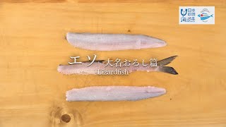 エソのさばき方 大名おろし編- How to filet Lizardfish -｜日本さばけるプロジェクト