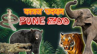 Pune Zoo 2020 | Rajiv Gandhi Zoological Park Pune | राजीव गांधी प्राणी संग्रहालय पुणे | Snake Park