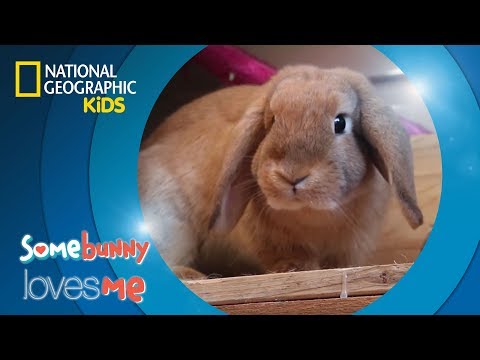 Somebunny Loves Me | National Geographic Kids