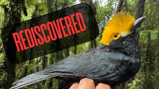 5 Extinct Species that were Rediscovered
