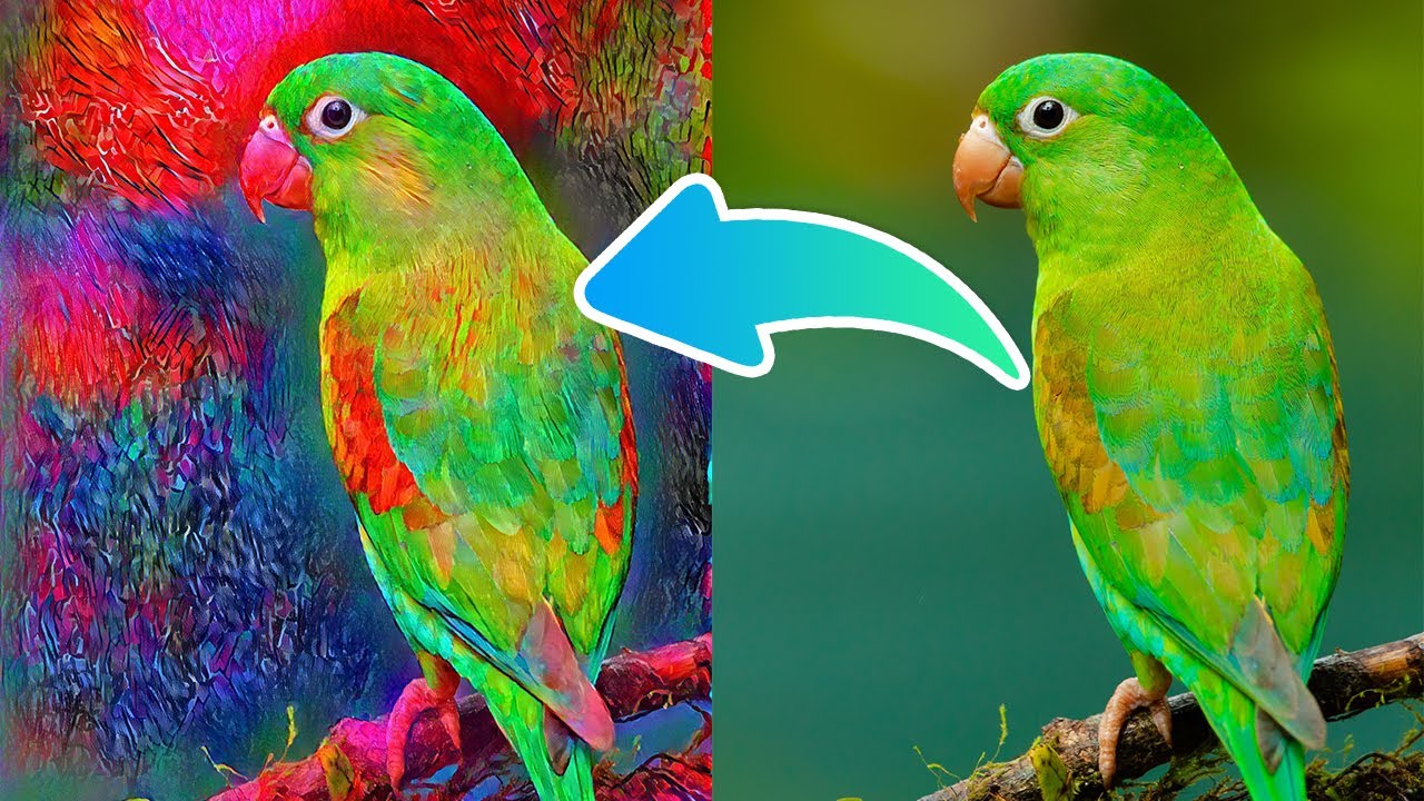 Make Your Own Deep Art with Style Transfer - YouTube
