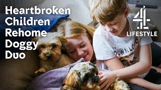Coping with the Unexpected Death of a Puppy | The Dog House | Channel 4