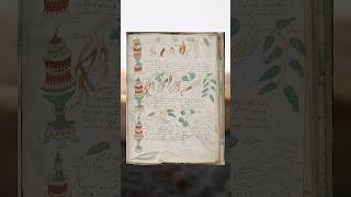 Das Buch, das niemand lesen kann 😨 | Voynich-Manuskript