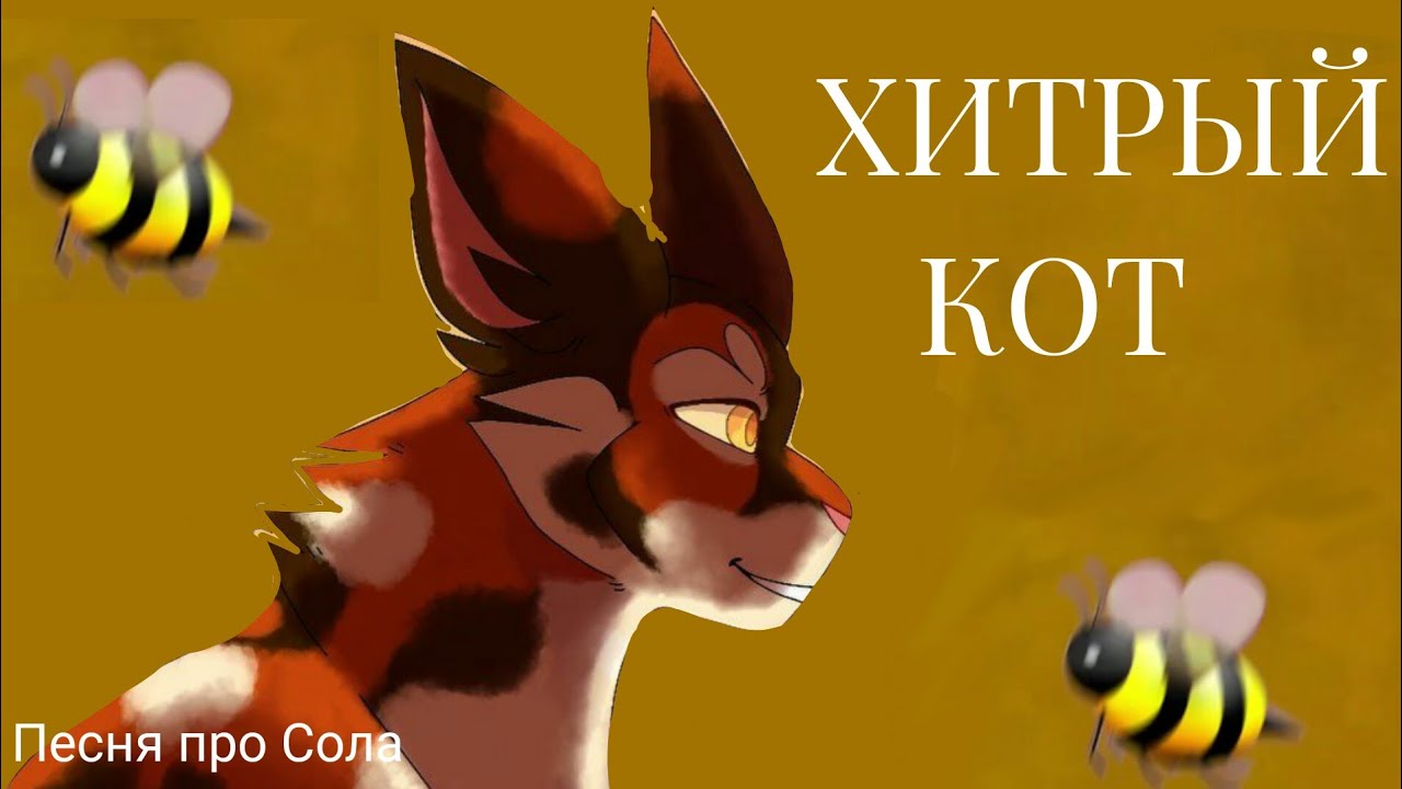 "Хитрый Кот" / Песня про Сола (КВ) Описание! - YouTube