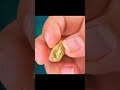 useful life hack #shorts #shortsvideo #viralvideo #youtubeshorts #hack #craft #diy #trendingshorts