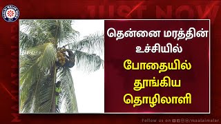 தென்னை மரத்தின் உச்சியில் போதையில் தூங்கிய தொழிலாளி | Thanjavur | Coconut Tree | Maalaimalar screenshot 2