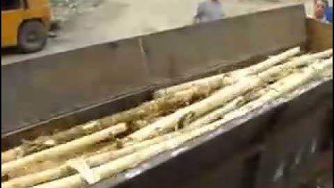 Double roller wood log debarker machine