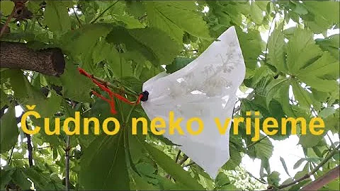 udno neko vrijeme - Maske i za kralja jeseni - KES...