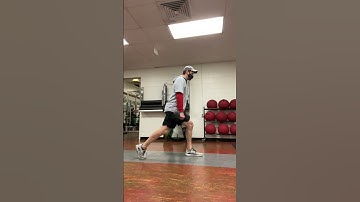 Oscillatory Split Squat