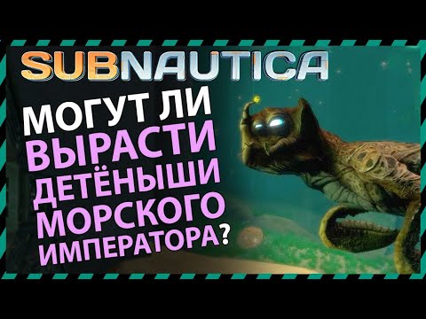 Видео: Subnautica МОГУТ ЛИ ВЫРАСТИ ДЕТЕНЫШИ МОРСКОГО ИМПЕРАТОРА?