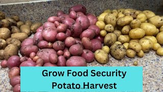 Grow Food Security | Let's see what I just dug up? by Life Lived Frugally 234 views 10 months ago 21 minutes