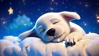 Relaxing Piano Music 💤 Deep Sleep 5 in Minutes 🌛 Sleeping Music for Deep Sleeping🌿 Calm Sleep Music