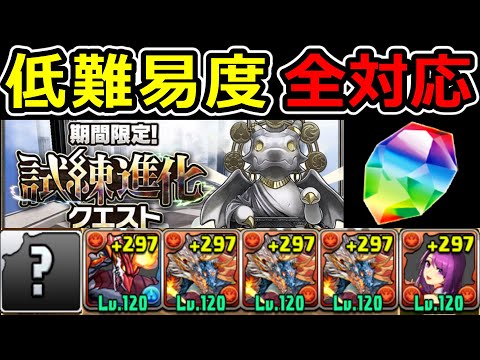 【百花繚乱1】低難易度＆全対応シヴァドラ編成で石回収！試練進化クエスト【パズドラ】