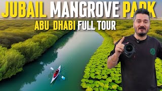 The Secret Mangroves of Abu Dhabi (Jubail Mangrove Park)