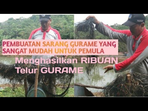 Video: Cara Memasak 