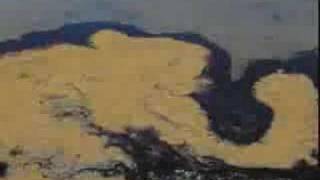 Ecosorb Clip