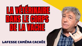 Lafesse Camera Cachee La Vétérinaire Dans Le Corps De La Vache