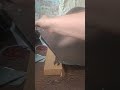 Рама для элетровелосипеда часть 1