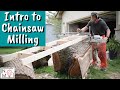 How to Start Alaskan Chainsaw Milling | Milling a Figured Walnut Tree