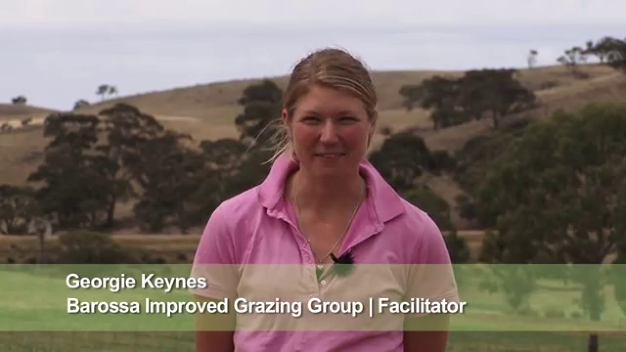 Recovery of native pastures 18 months after the Eden Valley bushfire