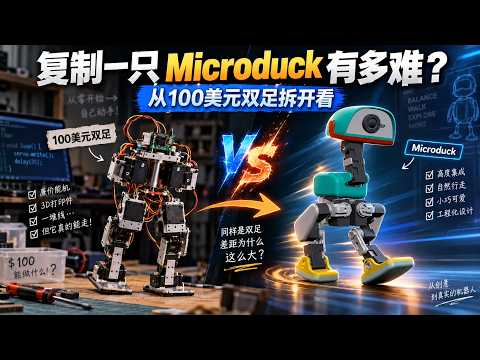 Can You Build Your Own Microduck?
