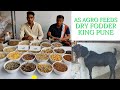 AS Agro Feeds Dry Fodder King AS Agro Feed Pune |Goat And Cattel Feed Supplier| एएस ऍग्रो फीड्स पुणे