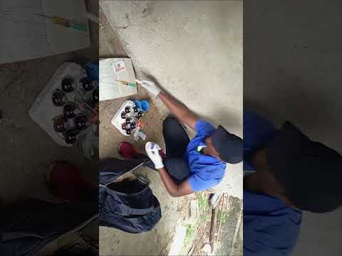 UFAHAMU UGONJWA WA NDOROBO KWA NGURUWE TRYPANOSOMIASIS IN PIGS UNAO ENEZWA NA MBUN GO JAMII YA NZI