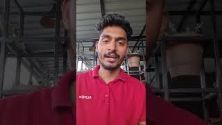 IPL SEASON 18 | RCB VS KKR MATCH PREVIEW Malayalam #ipl #kohli #rcb #royalchallengersbangalore #kkr