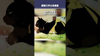 貓貓之所以為貓皇的原因 #shorts