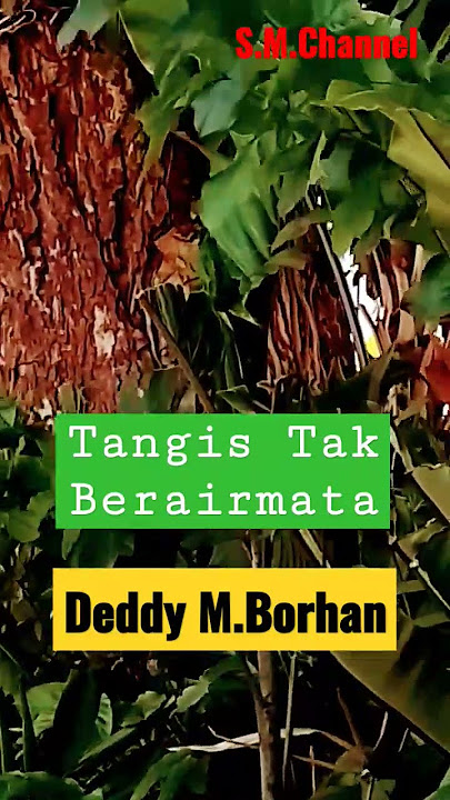 Tangis Tak Berairmata, Deddy M.Borhan