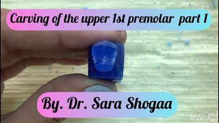 Carving of the upper 1st premolar (part 1) by Dr. Sara Shogaa
