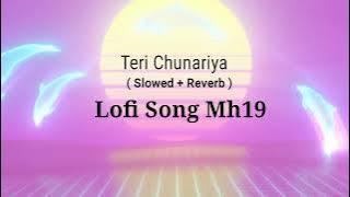Teri Chunariya (Slowed  Reverb) Lofi song mh19