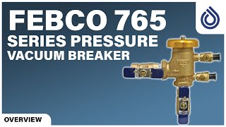 FEBCO 765 Series Backflow Preventor