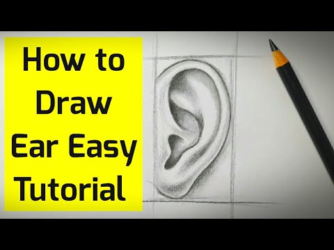 How to draw ear easy step by step Ear drawing for beginners tutorial Basic drawing for beginners