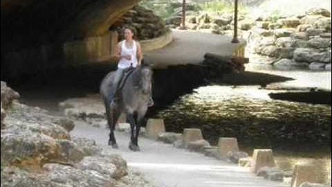 Montoya Tessica    ***For up-to-date info, price, etc., go to our website***