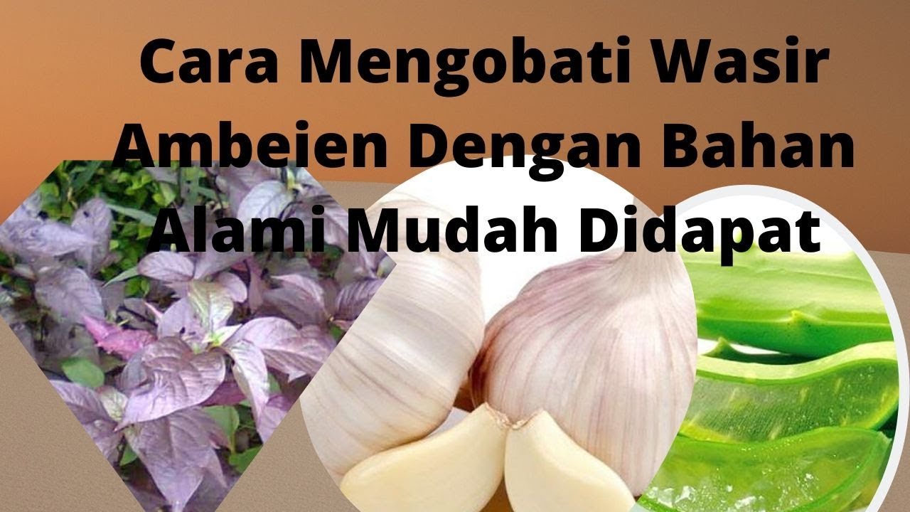 Cara Mengobati Wasir Ambeien Dengan Bahan Alami Mudah Didapat