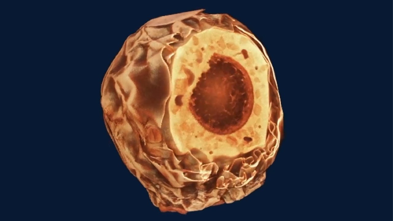 Micro-CT of Chocolate Candy